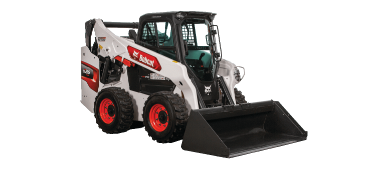Bobcat3